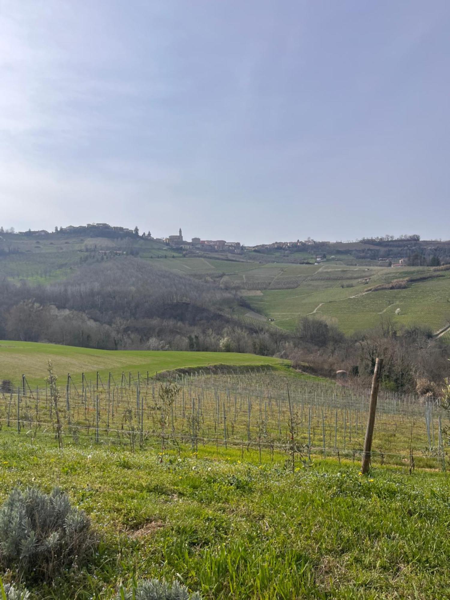 Le Cornici - Cascina Di Charme Hotel Diano dʼAlba Екстериор снимка
